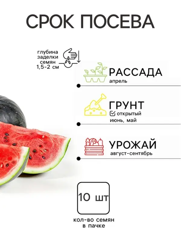 Семена Арбуз &laquo;Сибирская Роза&raquo;, 10 шт., &laquo;Уральский дачник&raquo;