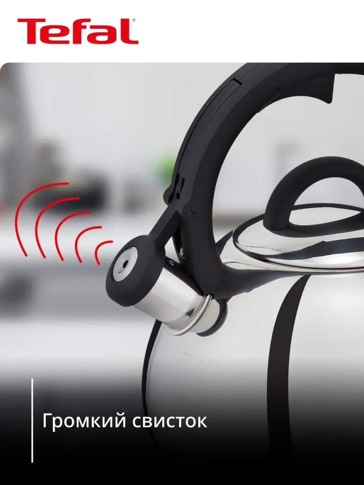 Чайник Kettle ss induction N4180317, для всех видов плит