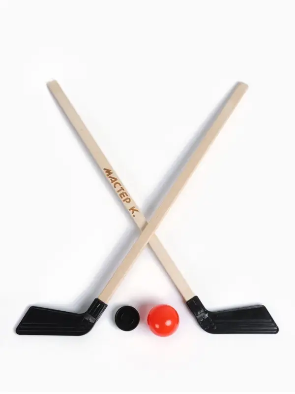Набор для игры в хоккей &laquo;Мастер К&raquo;, 2 клюшки, шайба, мяч