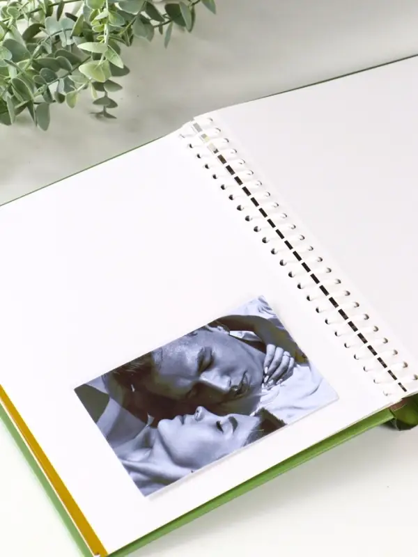 Фотоальбом 10 магнитных листов Фотоальбом 10 магнитных листов "Розы" 23X28см, зеленый, пер-т внутр.спираль