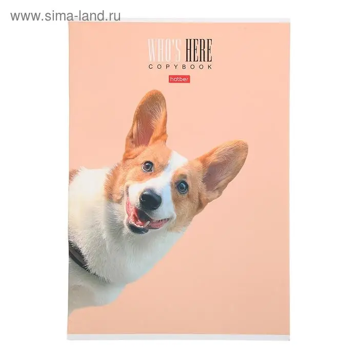Тетрадь А4, 96 листов в клетку "Кто здесь?", обложка мелованный картон, матовая ламинация, блок офсет, МИКС