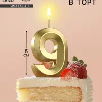 Свеча в торт на шпажке «Цифра 9», золотая, 5 см