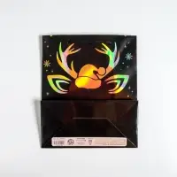 Пакет голография «Новый год», ML 23 х 27 х 11.5 см