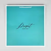 Пакет для цветов &laquo;Подарок&raquo;, 42&times;44&times;32 см