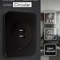 Розетка с 2 USB-A разъёмами, 2.1 А, 5 В, серия Circular, скрытый монтаж, чёрная
