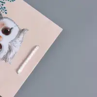 Пакет подарочный "Мудрая совушка" ламинированный 18 х 22,3 х 10 см