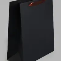 Пакет подарочный ламинированный &laquo;Чёрный&raquo;, M 26&times;32&times;12 см
