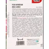 Семена цветов Роза Angel Wings китайская 7шт.  АКЦИЯ !!!  12.28 г.