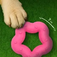 Жевательная игрушка для собак &laquo;Пленительная звезда&raquo;, 7 см, TPR, розовая