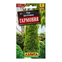 Семена цветов Туя восточная "Гармония", ц/п, 8 шт Семена цветов Туя восточная "Гармония", ц/п, 8 шт