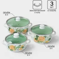Кастрюли эмалированные &laquo;Лимонный&raquo;, набор 3 шт., 2 л, 3 л, 4 л, с деколью, белые