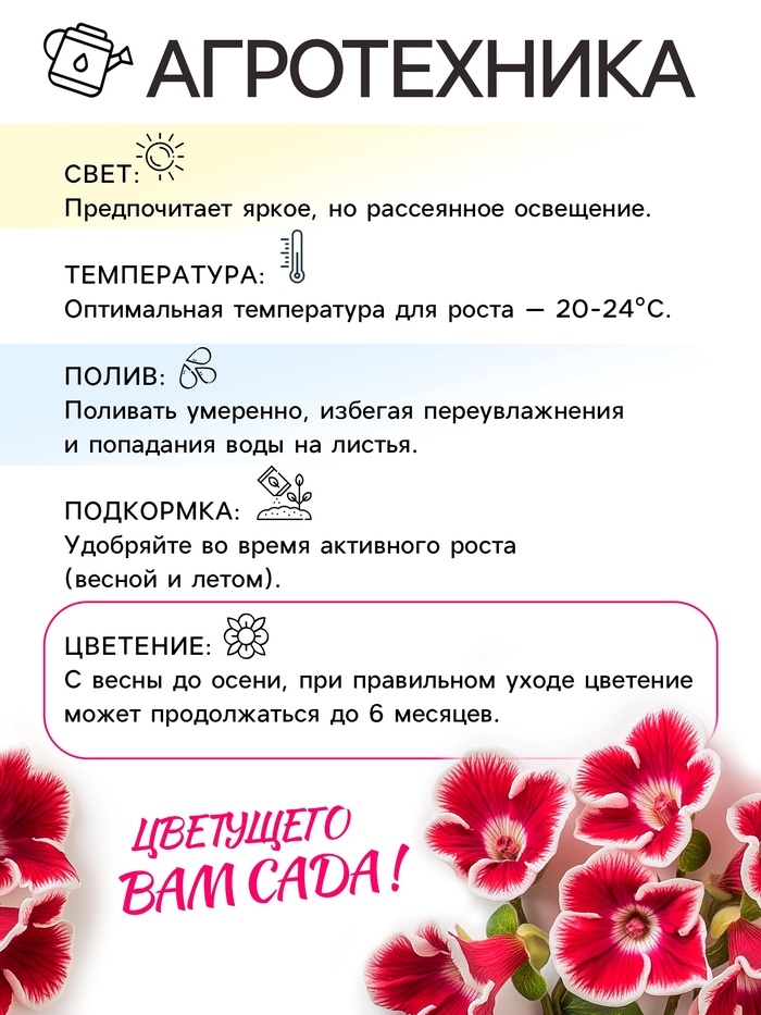 Глоксиния «Принц Альберт», многолетник, комнатный, луковица в пакете с перфорацией, р-р 5/6, 2 шт.