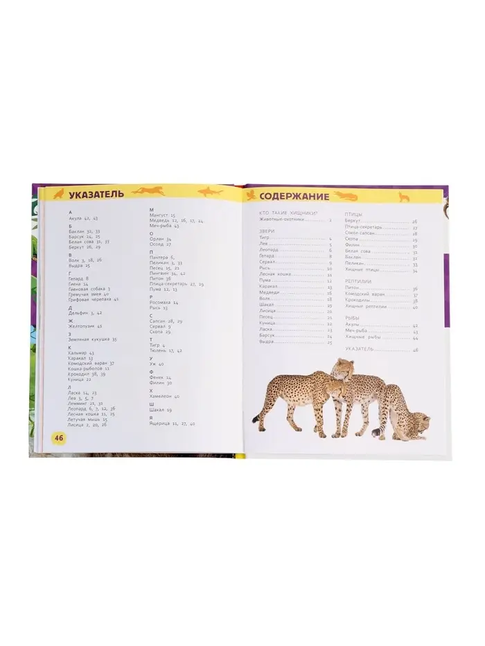 Детская энциклопедия &laquo;Дикие животные&raquo;, 48 стр.