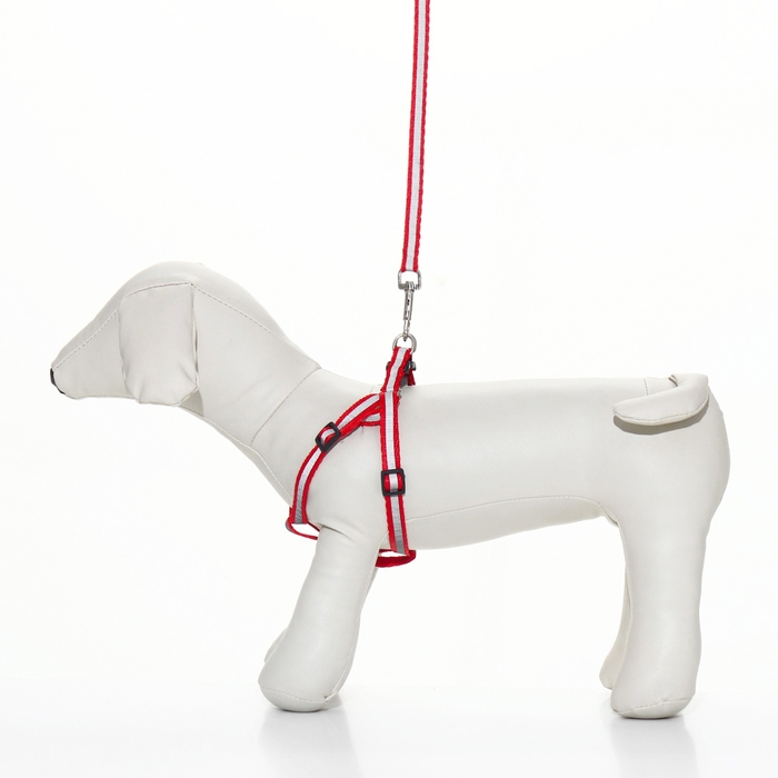 Комплект со светоотражающей лентой, ошейник 120 х 1 см, ОГ 26-40 см, красный Комплект со светоотражающей лентой, ошейник 120 х 1 см, ОГ 26-40 см, красный