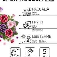 Семена цветов Глоксиния &laquo;Брокэйд&raquo;, F1, 5 шт., &laquo;Престиж семена&raquo;
