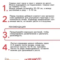 Семена Кориандр "Янтарь", 5 г Семена Кориандр "Янтарь", 5 г