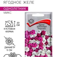 Семена цветов Иберис зонтичный Ягодное желе, 0,1гр