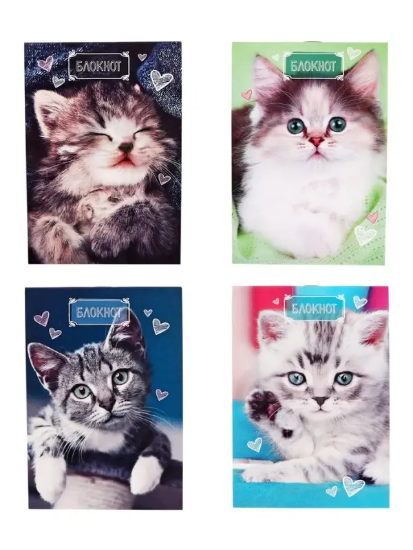 Блокнот А6, 24 листа в клетку на скрепке &laquo;Котята&raquo;, обложка мелованный картон, МИКС