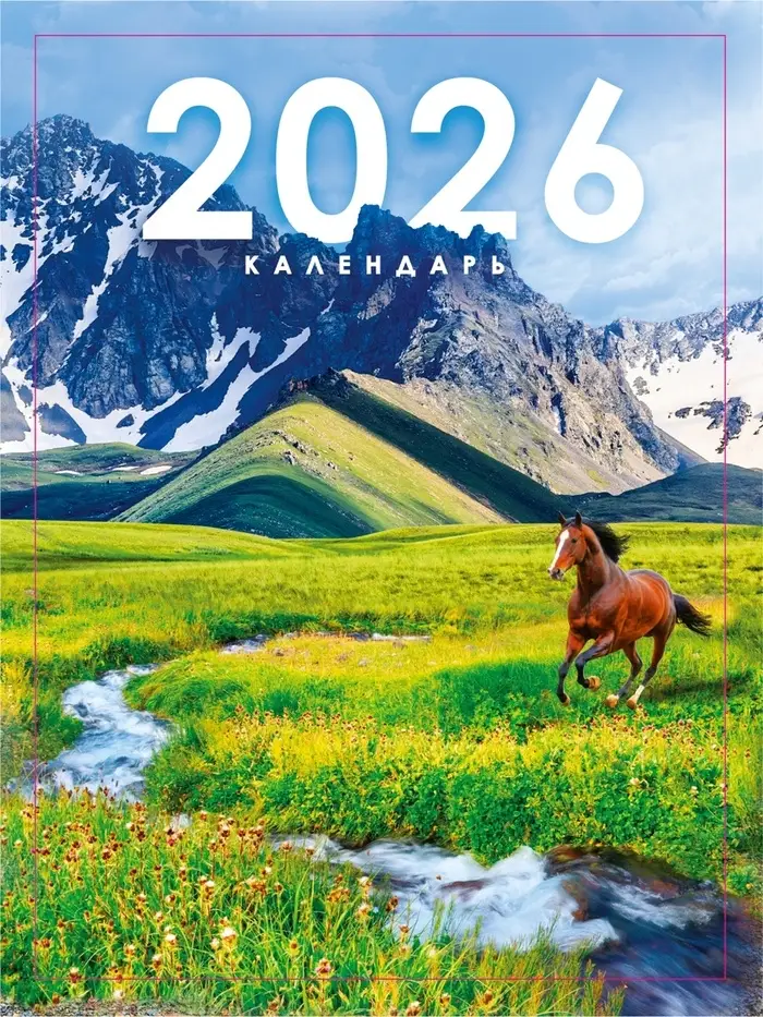 Календарь отрывной на магните «2026» 9.5×13 см