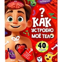 Книга - раскладушка детская «Как устроено моё тело», 40 окошек