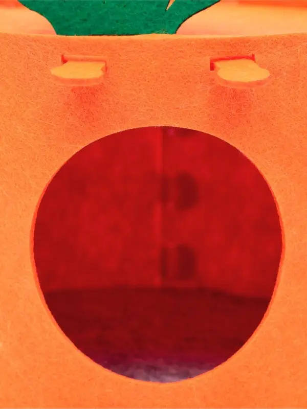 Домик для грызунов, 17&times;13.5 см, войлок