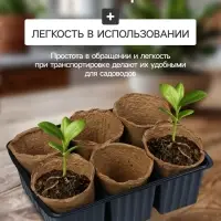 Набор для рассады: торфяной горшок 6×6 см, кассета на 6 ячеек, 17.5×13.5 см, Greengo