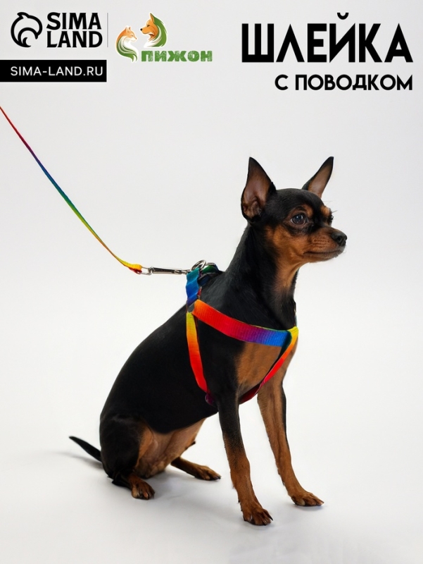 Комплект "Радуга", капрон, поводок 120 х 1,5 см, ОГ 24-34 см, разноцветный