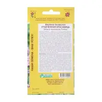 Семена цветов Вербена бонарская "Утонченная Красавица", 5 шт