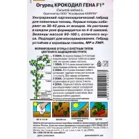 Семена Огурец "Крокодил Гена" F1, ультраранний, партенокарпический, 10 шт.