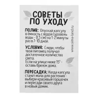 Набор для опыта &laquo;Живой брелок&raquo;, мини-сад, выращивание травы