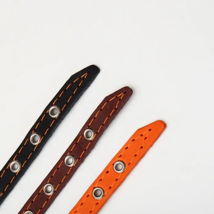 Ошейник кожаный однослойный с рифлеными люверсами, 35&times;1.2 см, ОШ 10-28 см, безразмерный, микс цветов