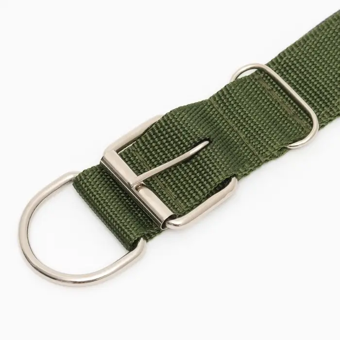 Ошейник &laquo;Комфорт&raquo;, 60&times;4 см, ОШ 44-54 см, комбинированный, полиэстер, искусственная кожа, зелёный