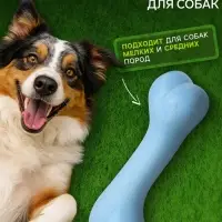 Плавающая игрушка для собак Пижон Premium &laquo;Кость-волна&raquo;, 12.5&times;4 см, вспененный TPR, голубая