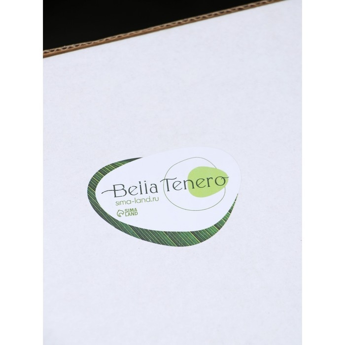 Банки стеклянные для хранения сыпучих продуктов BellaTenero «Эко», 300 мл, 10,2×21,5 см, с бамбуковой крышкой, 4 шт