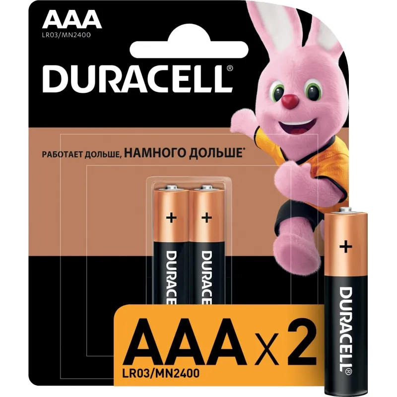 Батарейка DURACELL BASIC ААA/LR03-2BL