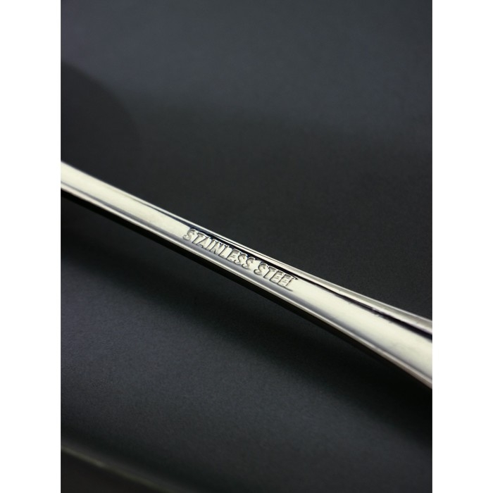 Ложка десертная из нержавеющей стали Доляна &laquo;Таун&raquo;, длина 18,5 см, толщина 2 мм, цвет серебряный