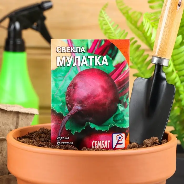Семена Свекла &laquo;Мулатка&raquo;, 2 г