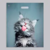 Пакет &laquo;Кот&raquo;, полиэтиленовый, с вырубной ручкой, 38&times;45 см, 60 мкм