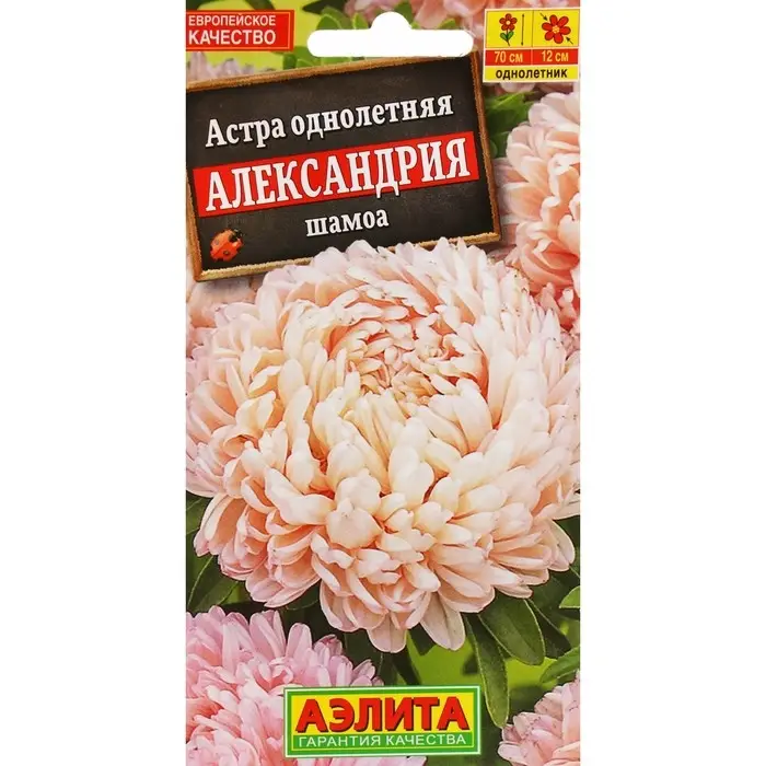 Семена Цветов Астра «Александрия шамоа», 0.1 г