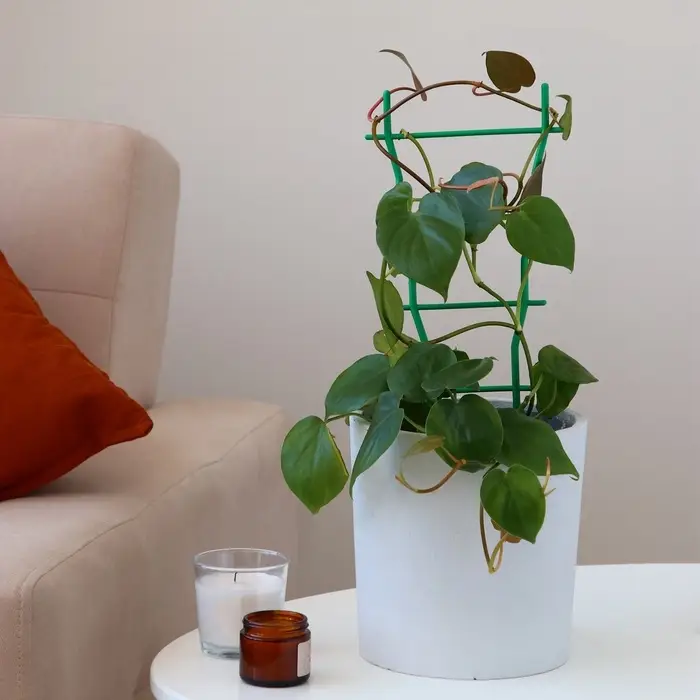 Шпалера, 32 &times; 19 &times; 0.5 см, пластик, зелёная