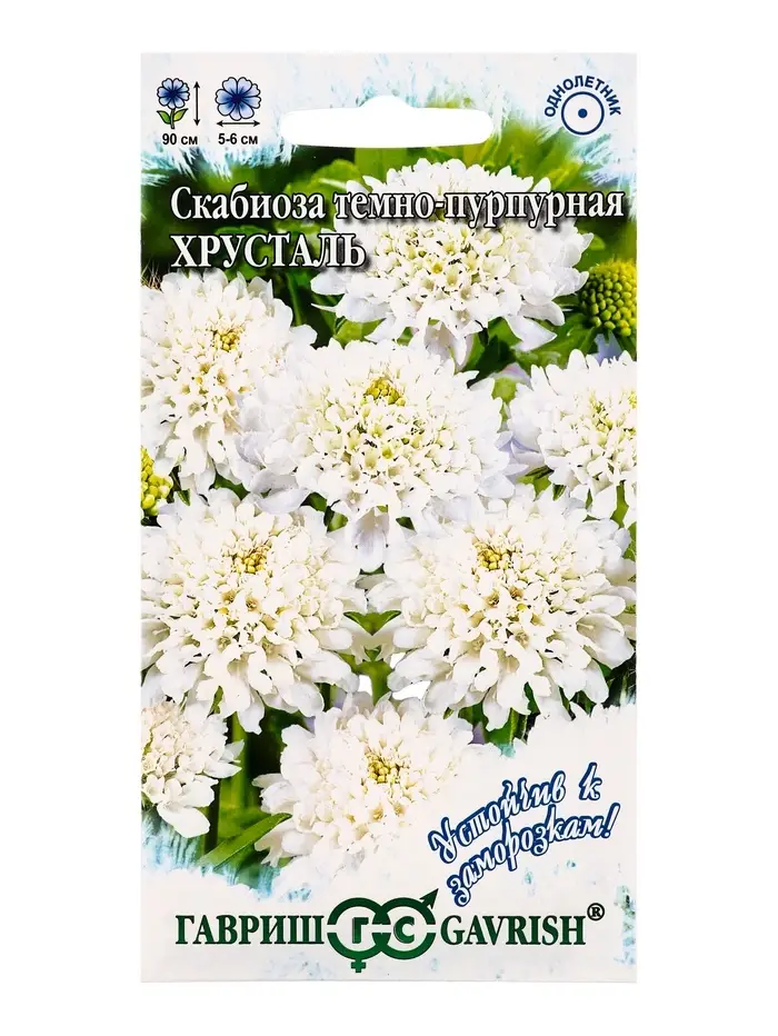 Семена цветов Скабиоза темно-пурпурная &laquo;Хрусталь&raquo; 0.2 г