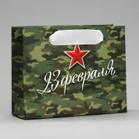 Пакет подарочный ламинированный, упаковка, «С 23 февраля», S 15 х 12 х 5.5 см