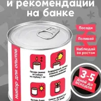 Набор для опытов ЭВРИКИ &laquo;Мой мини-сад&raquo;, арбуз