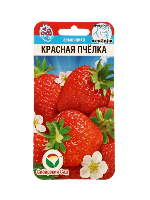 Семена Земляника &laquo;Красная пчелка&raquo;, 10 шт., &laquo;Сибирский сад&raquo;