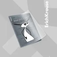 Набор предметных тетрадей ErichKrause &laquo;Чубрик&raquo;, 12 предметов, 48 листов, со справочным материалом, пластиковая обложка