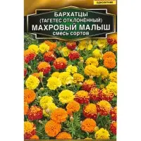 Семена цветов Бархатцы Махровый малыш отклоненные, смесь сортов Золотая серия, Ц/П,0,1 г Семена цветов Бархатцы Махровый малыш отклоненные, смесь сортов Золотая серия, Ц/П,0,1 г
