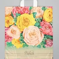 Пакет "Пунш", полиэтиленовый с петлевой ручкой, 38х42 см, 40 мкм