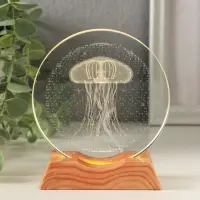 Сувенир стекло свет "Диск. Медуза" 5хLED d=10 см, USB 10х4х11,4 см Сувенир стекло свет "Диск. Медуза" 5хLED d=10 см, USB 10х4х11,4 см