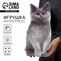Игрушка-антистресс &laquo;Серый кот&raquo;, 19&times;28 см