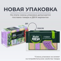 Губки для мытья посуды Master FRESH XL 100х70х33мм 5шт/уп